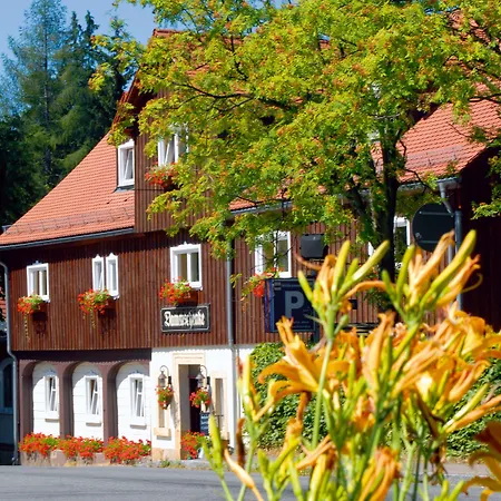 Dammschenke Gasthof&Hotel-3