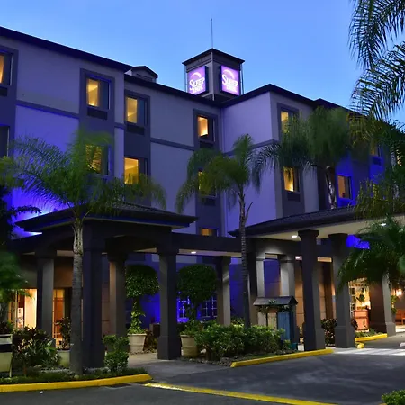 Sleep Inn Hotel Paseo Las Damas-3