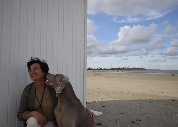 Hotel Ter Duinen - La Guera