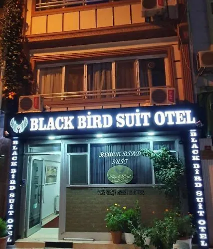 Hotel: Black Bird Suite Hotel
