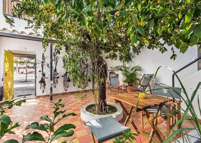 Hotel Am Lemon Tree Stay