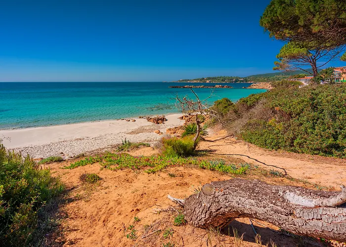 Golf Hotel: Vista Blu Resort