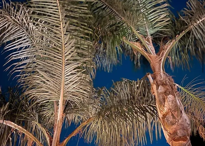 Hotel mit Aussicht: Luxury B&B Villa Tauro