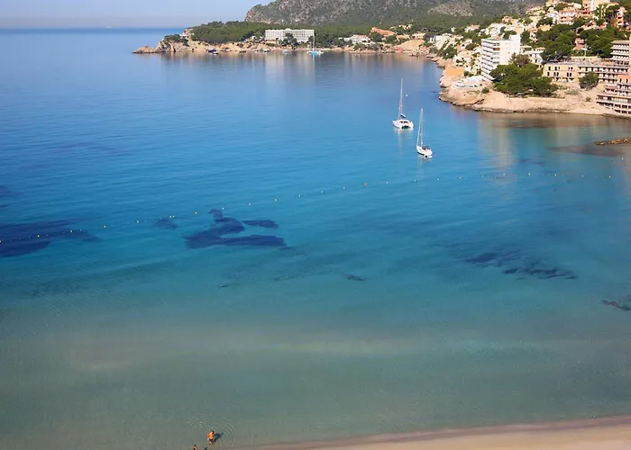 Apartamentos Petit Blau