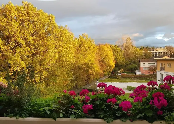 MariaPrimaVera Apartment am Kurpark mit Schwarzwaldblick * * * *
