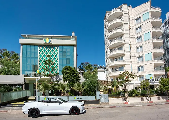 Citrus Park