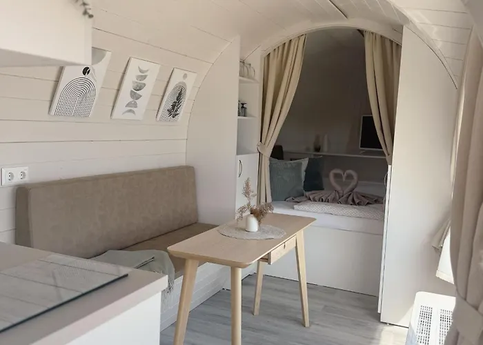  IGLU Camp