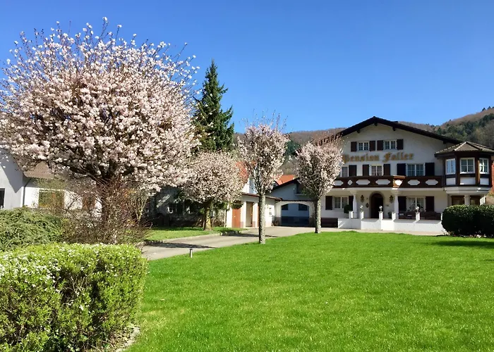 Hotel Am Gasthaus Adler