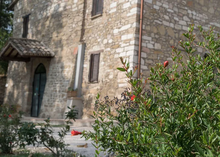 Hotel Am B&B Cantico Delle Creature