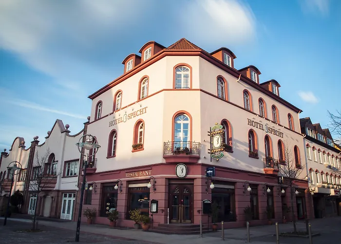 3-Sterne-Hotel: Hotel Specht