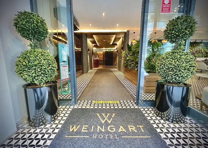 Weingart Istanbul