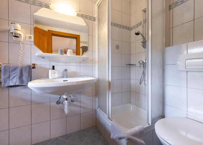 Günstiges Hotel: ApartHotel Holzerhof