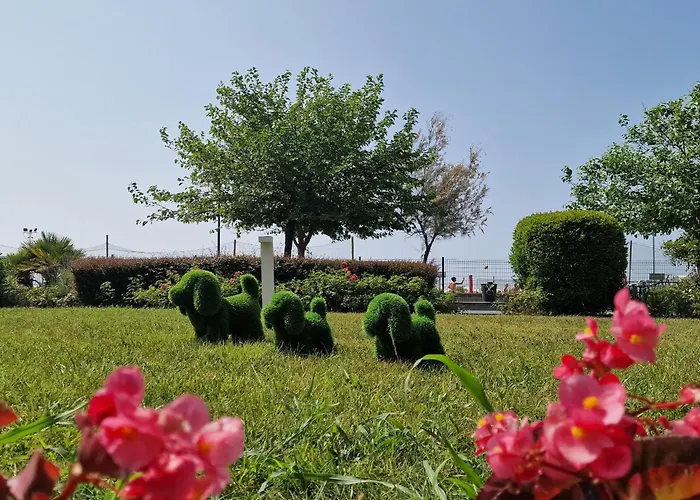 Ashanti Aparthotel Wellness&Spa