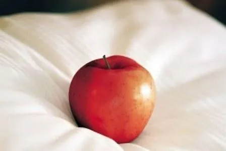 Hotel Landhaus Syburg