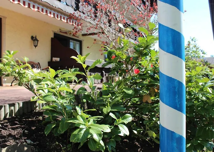 Birkenhof Pension Mit Herz