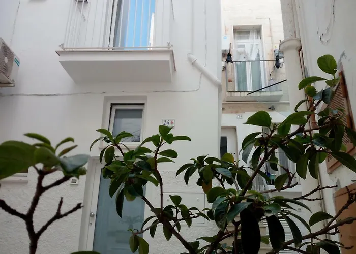 Casa Mina